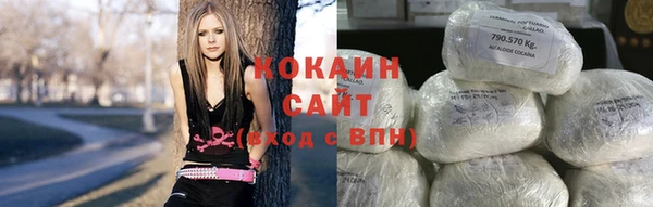 шишки Алексин