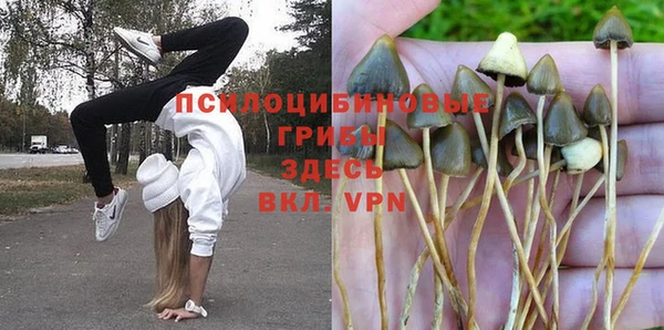 шишки Алзамай