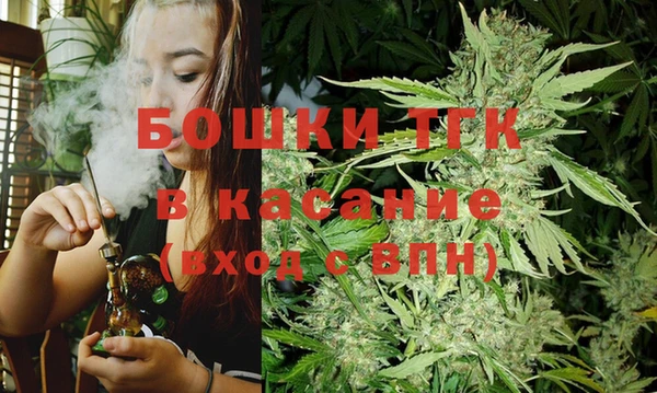 шишки Алексин