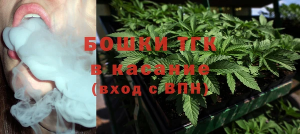 шишки Алексин