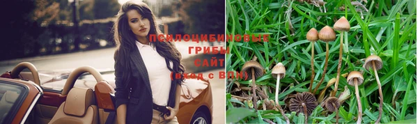 таблы Алексеевка