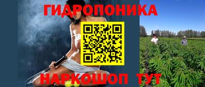 ПСИЛОЦИБИНОВЫЕ ГРИБЫ Можга