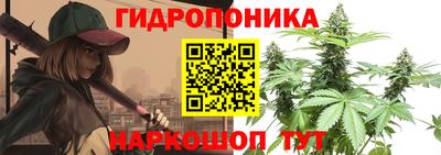 ешки Моздок