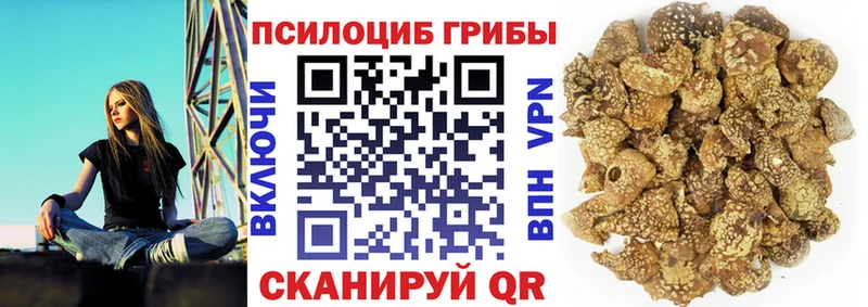 купить наркоту Протвино Псилоцибиновые грибы ЛСД
